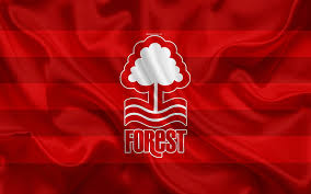 Nottingham Forest FC: Hành Trình Lịch Sử và Những Thành Tựu Vàng Son